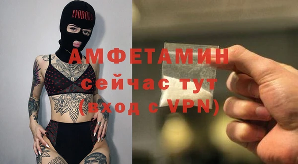 стаф Осинники