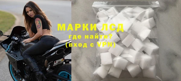 стаф Осинники