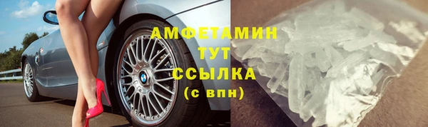 прущие грибы Нягань