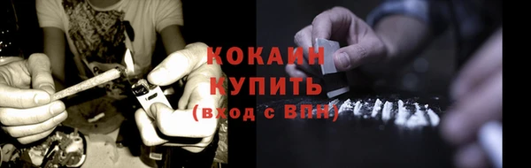 прущие грибы Нягань