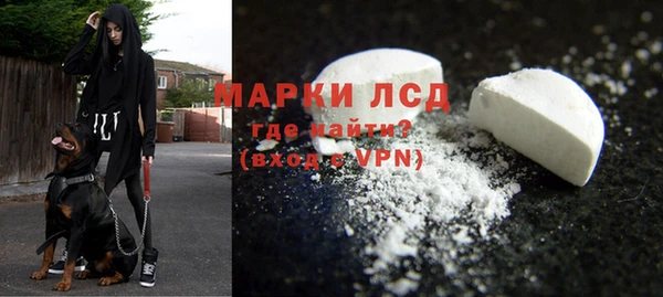 прущие грибы Нягань