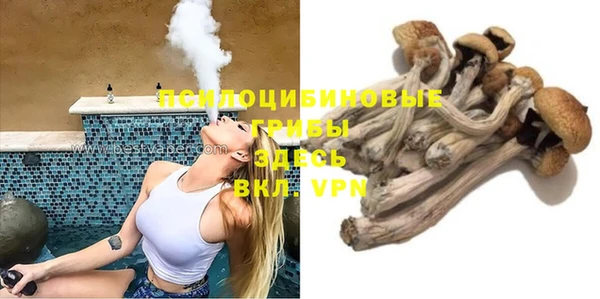 прущие грибы Няндома