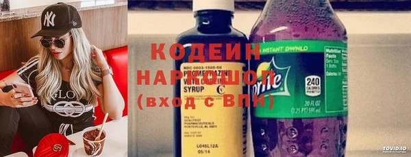 прущие грибы Няндома