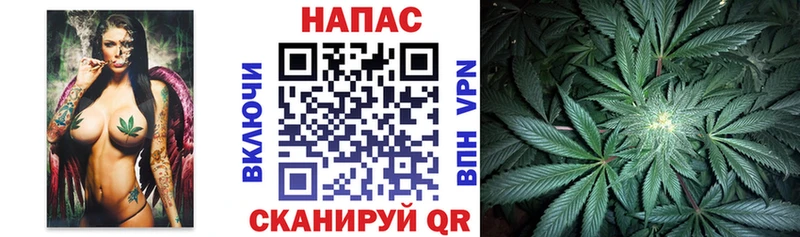Бошки марихуана планчик Кораблино